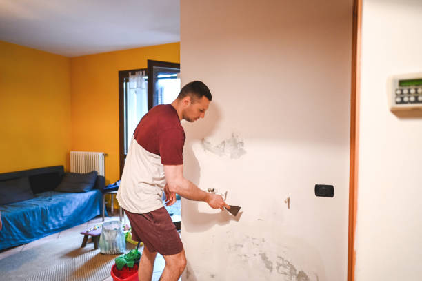 Best Crawl Space Mold Remediation in Town And Country, MO